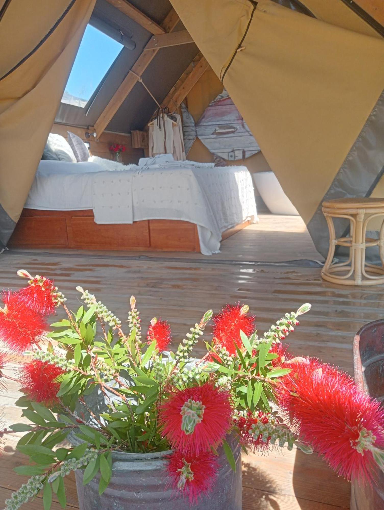 Agriturismo Podere Il Fornacino Santa Luce Extérieur photo