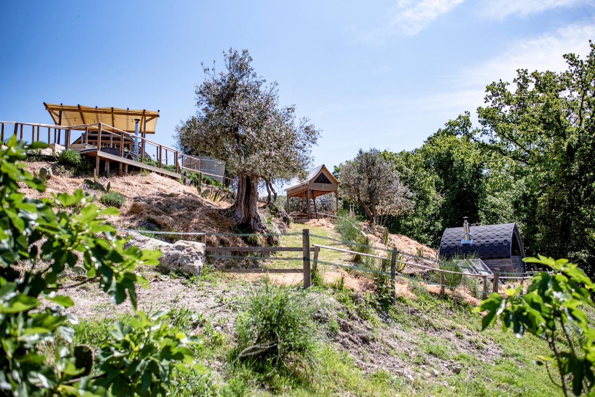 Agriturismo Podere Il Fornacino Santa Luce Extérieur photo